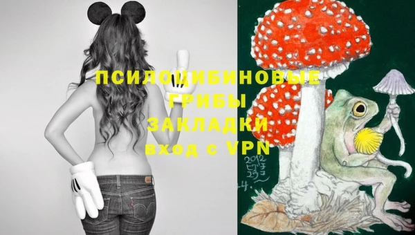 прущий лед Аркадак
