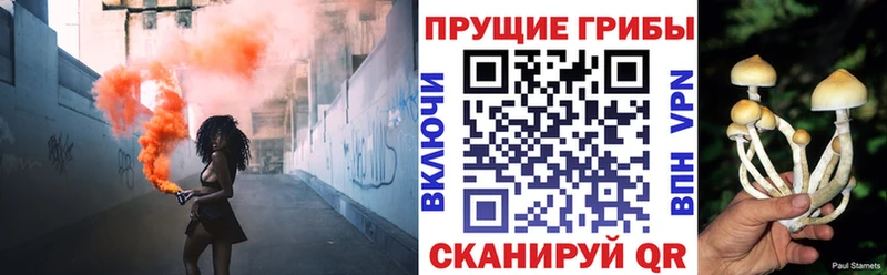 где найти наркотики  Осинники  OMG зеркало  Галлюциногенные грибы мицелий 